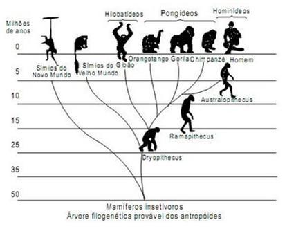 A Evolução dos Relógios: Da Relíquia Antiga ao Design ​Moderno